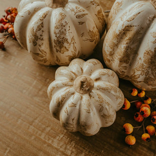 A Collected Kind of Fall: Pretty Pumpkins, Family Chaos & a Little Grace
