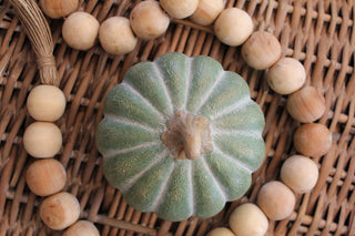 Jade Gold Terracotta Harvest Pumpkin