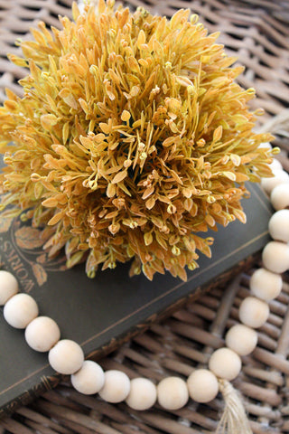 Sunwashed Seed Head Half Sphere
