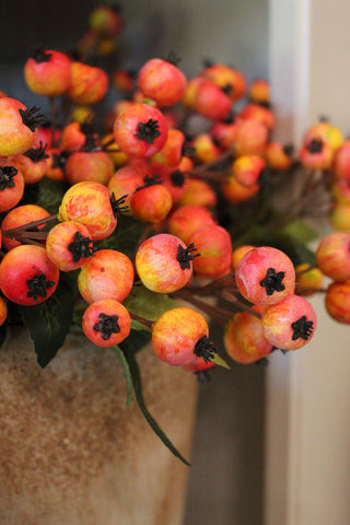 Linden Berry Stem - Yellow Orange