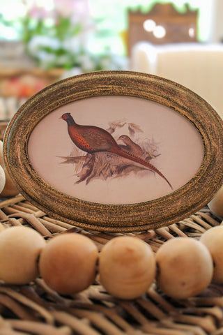 Pheasant Framed Art