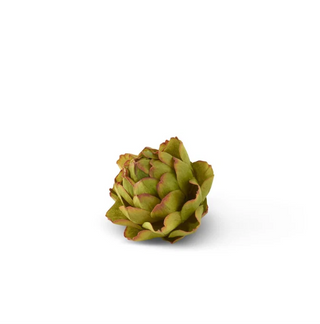 A single green artichoke with reddish-brown tips, isolated on a solid white background.