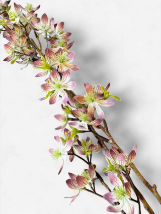 Blossom Branch