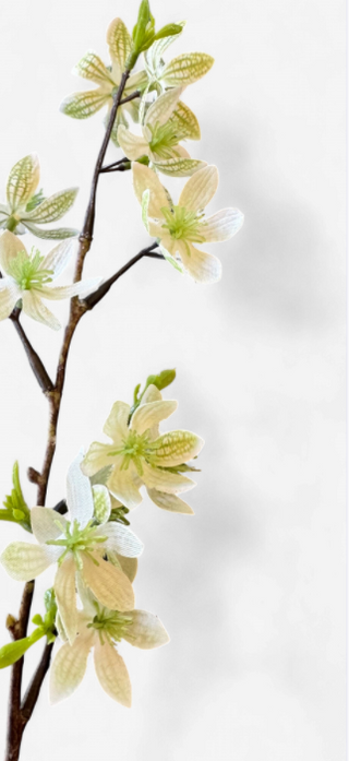 Blossom Branch