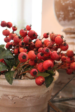 Linden Berry Stem - Red
