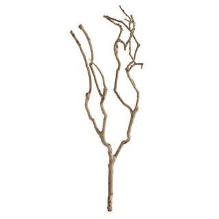 Natural Tea Tree Branch - 27.5"