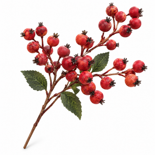 Single decorative red berry stem with mottled scarlet berries, dark star-shaped centers, and veined green leaves on a white background.