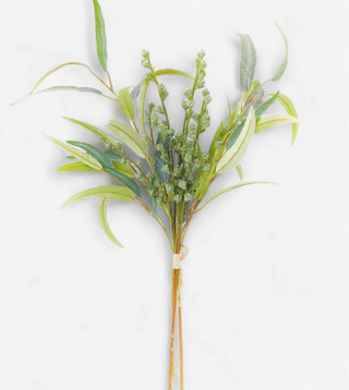 Longblade Eucalyptus Bunch
