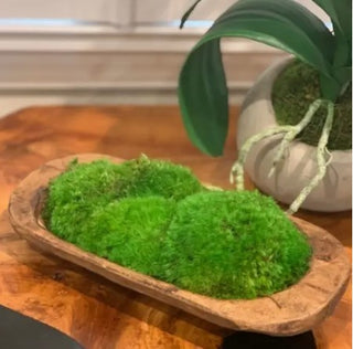 Moss Petite Wooden Dish
