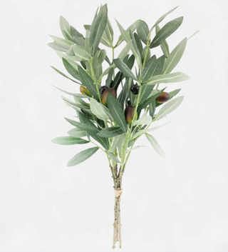 Italian Olive Bunch