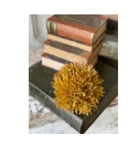 Sunwashed Seed Head Half Sphere