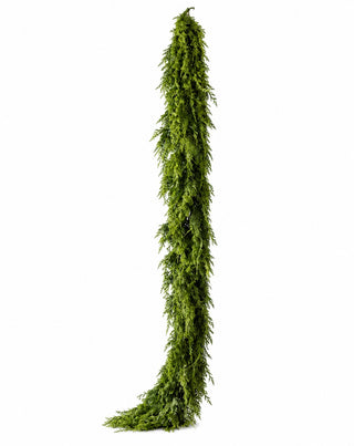 Six-foot Real Touch cedar garland with lifelike green foliage displayed vertically on a clean white background.