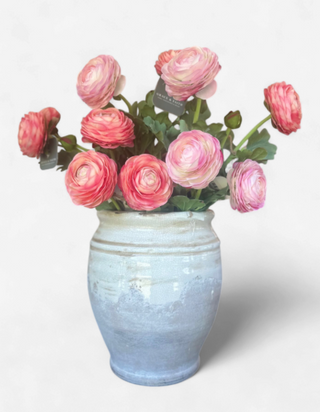 Ranunculus