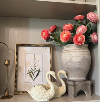 Ranunculus