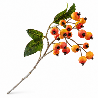 Single Linden berry decorative stem with coral, orange, and golden berries, dark centers, and veined green leaves on a white background.