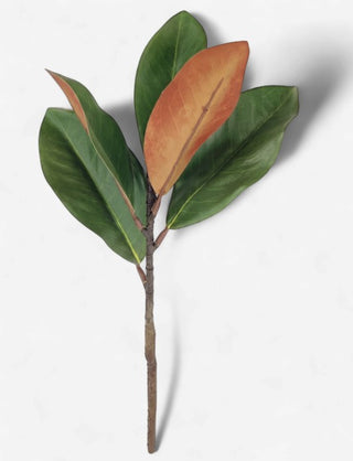 Green and Copper Magnolia Leaf Stem | 18"